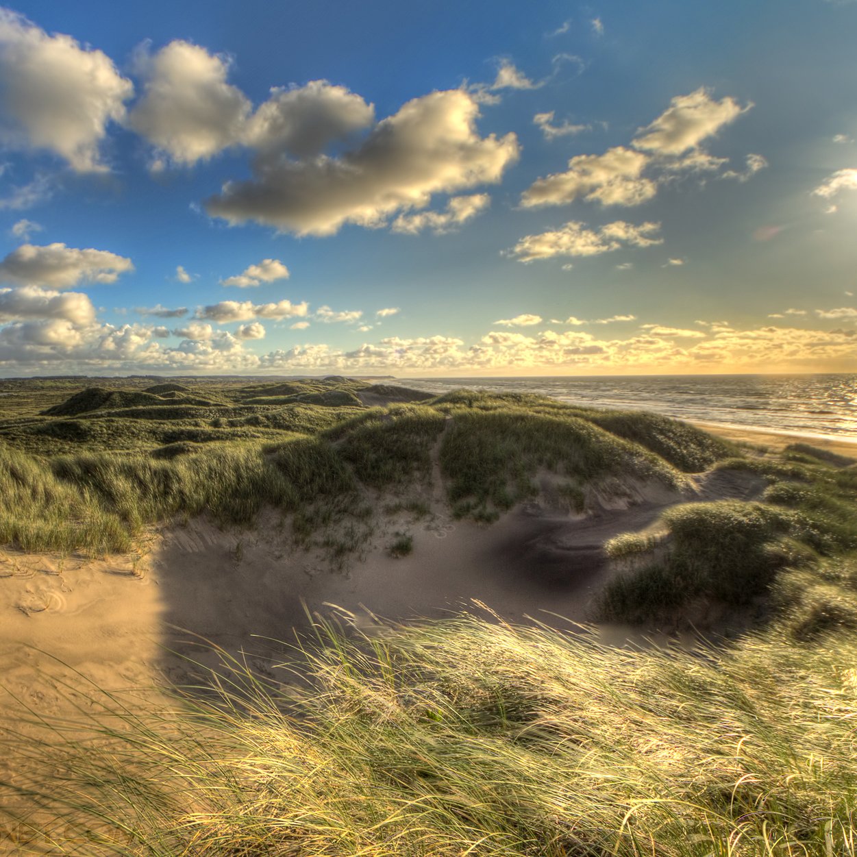 sand dune on north sea coast, Denmark